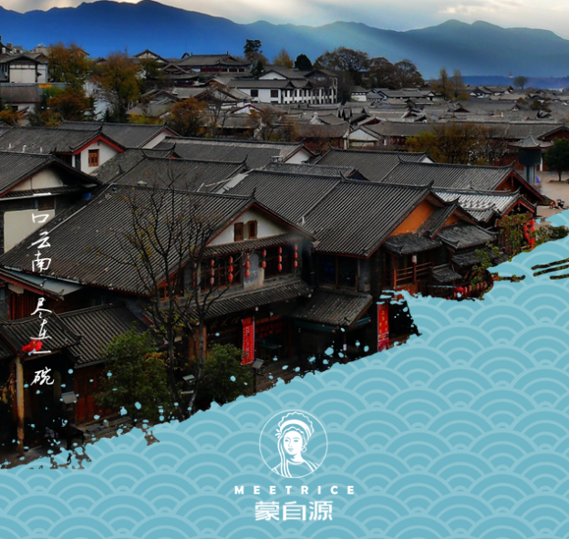 蒙自源餐飲行業(yè)-數(shù)據(jù)接口開(kāi)發(fā)案例